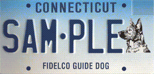 Fidelco Guide Dog
