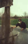 Picture of an inspector collecting fertilizer sample from a bulk fertilizer delivery truck.