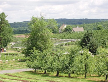 A berry farm and orchard in Glastonbury, Connecticut.