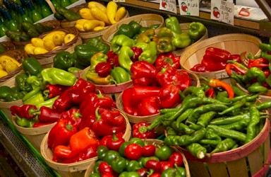 Bright fresh Connecticut Grown peppers. 