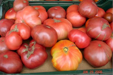 Connecticut grown heirloom tomatoes at a Connecticut farmers' market. 