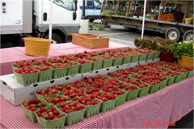 Freshly picked Connecticut Grown strawberries. 