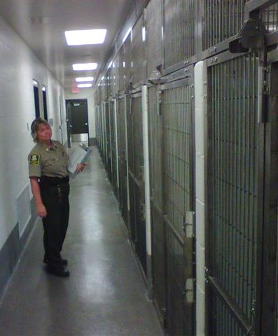 Officer inspecting kennel