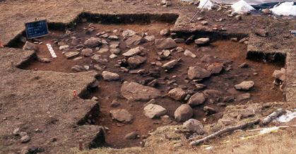 Image of excavated of meter-square units