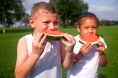 http://www.ct.gov/dph/lib/dph/communications/stock-photo-46659214-summer-watermelon.jpg