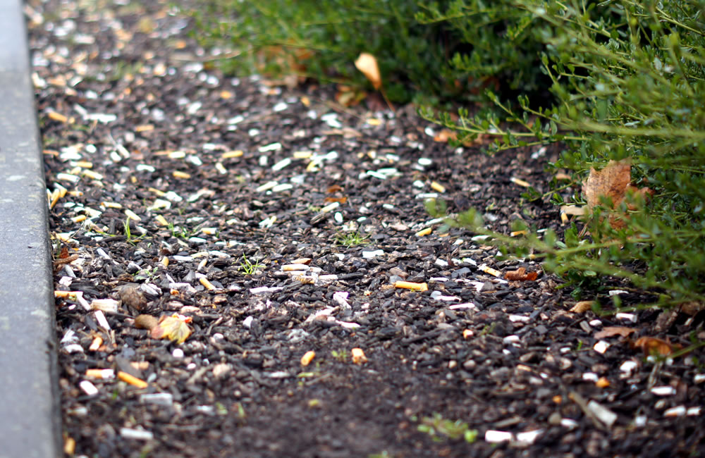 cigarette butts on side of road