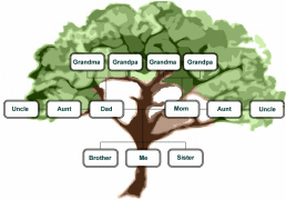Family Tree image
