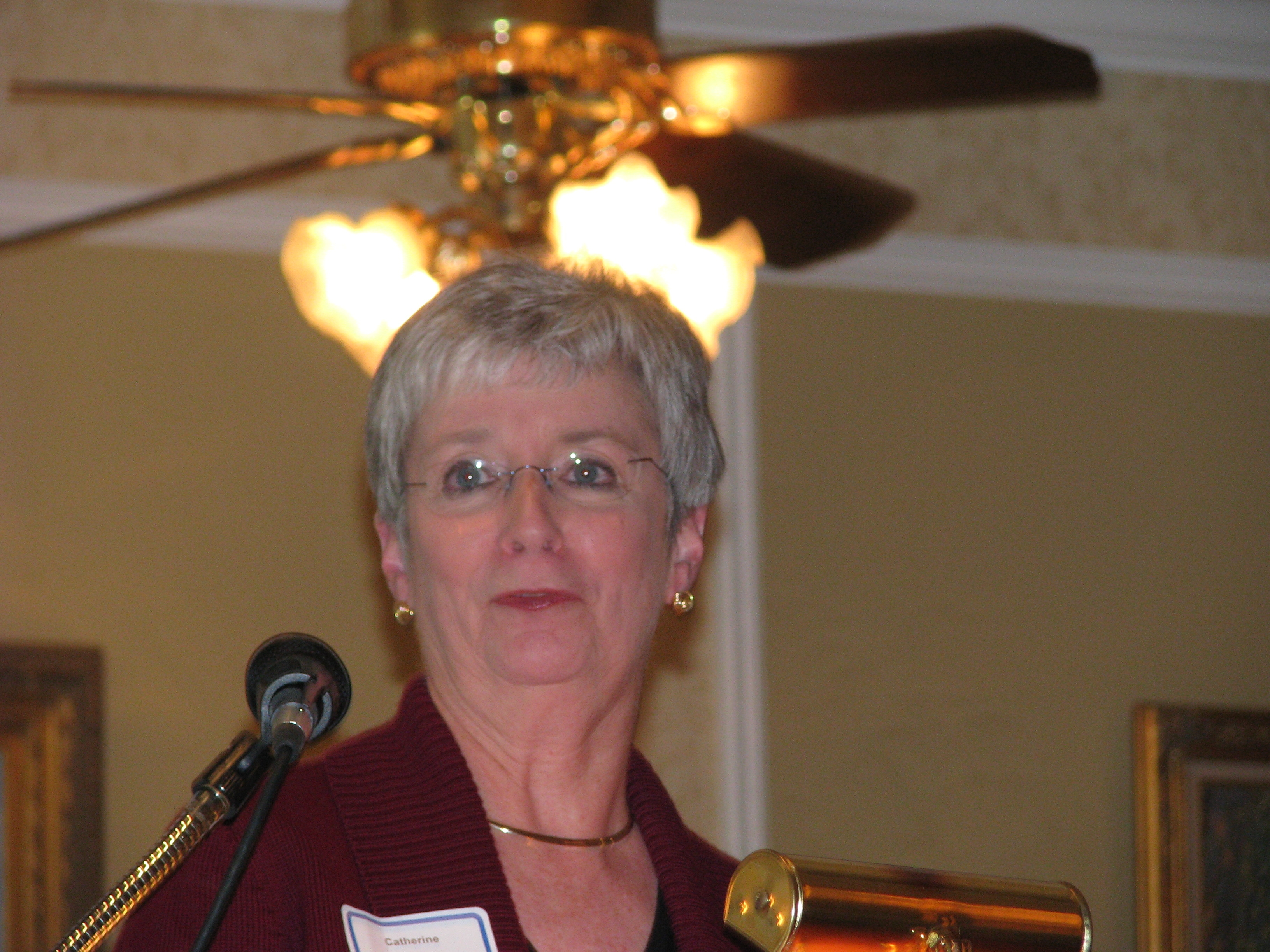 Catherine Kennelly of DPH, Distinguished Managerial Service awardee, speaks.