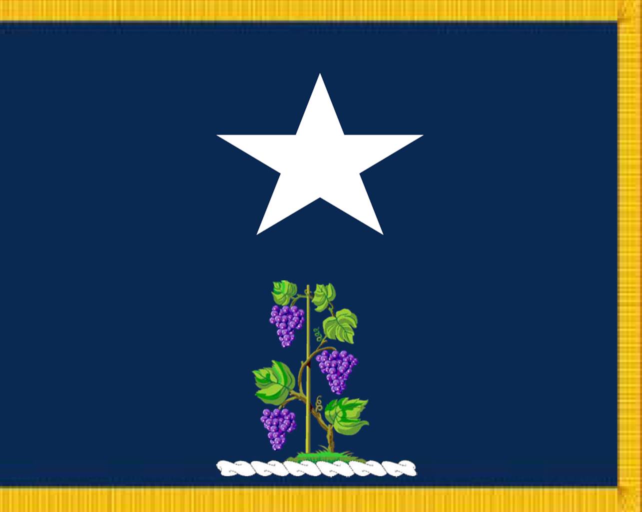 CT General Officer Flag
