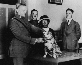 Stubby being decorated by General Pershing