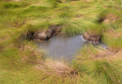 Saltmarsh pothole