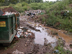 Standing water adjacent to dumster and trash.