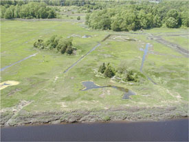 Aerial view of a marsh