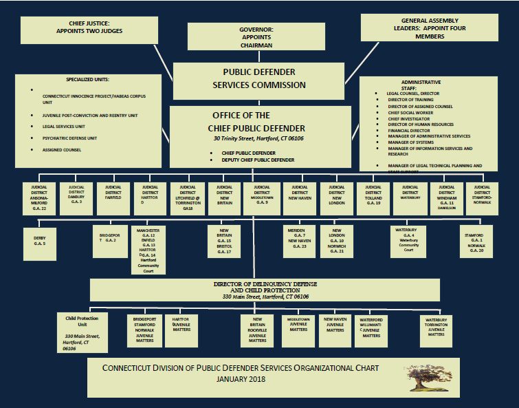 state government structure chart