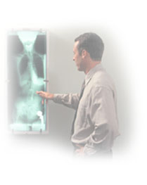 doctor examining x-ray
