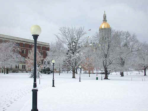 Capitol in Winter