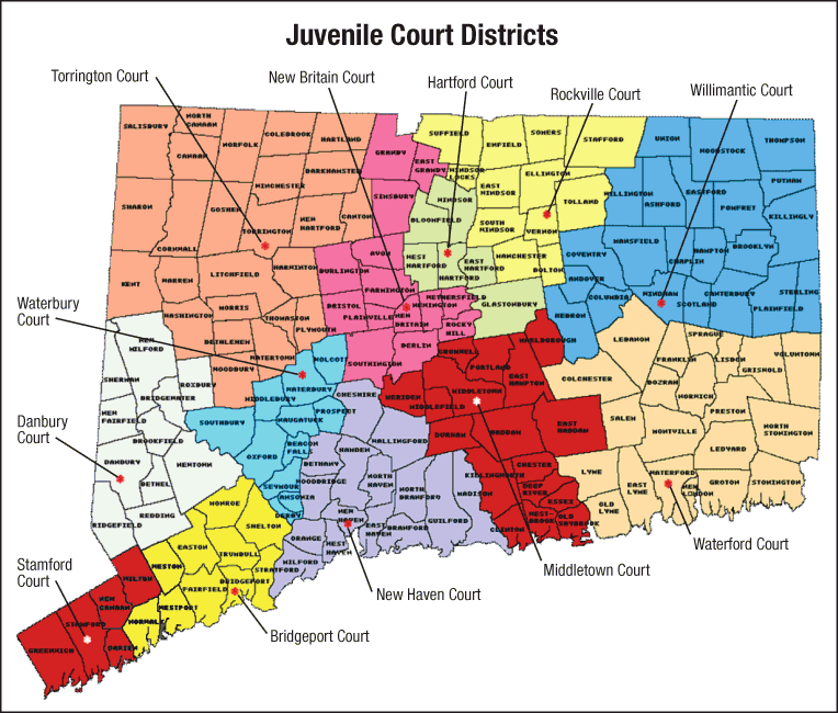 Graph 10. Juvenile court districts