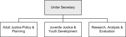 Criminal Justice Organizational Structure