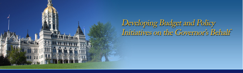 Developing Budget and Policy Initiatives on the Governor's Behalf