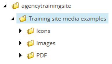 Screenshot of agency folder and subfolders in the media library