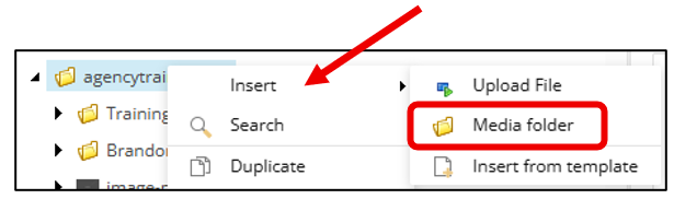 Screenshot showing the right‑click menu with the “Insert” option selected for creating a new media folder.