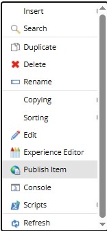 Screenshot showing the right-click context menu for an item, with the 'Publish Item' option highlighted.