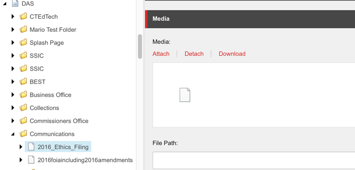 Media Library - Media Section
