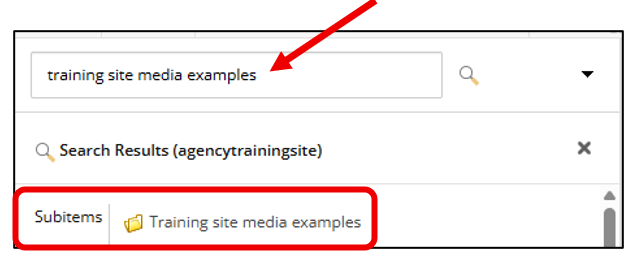 Screenshot showing "training site media examples" typed into the search box and the search results showing the corresponding folder.