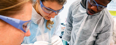 three young adults in protective goggles and lab gear work on a project